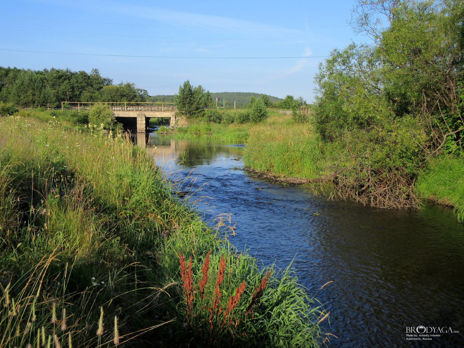 Kadnikovo (Кадниково)